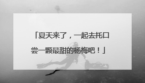 夏天来了，一起去托口尝一颗最甜的杨梅吧！